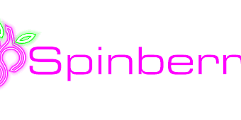 Neteller partner logo